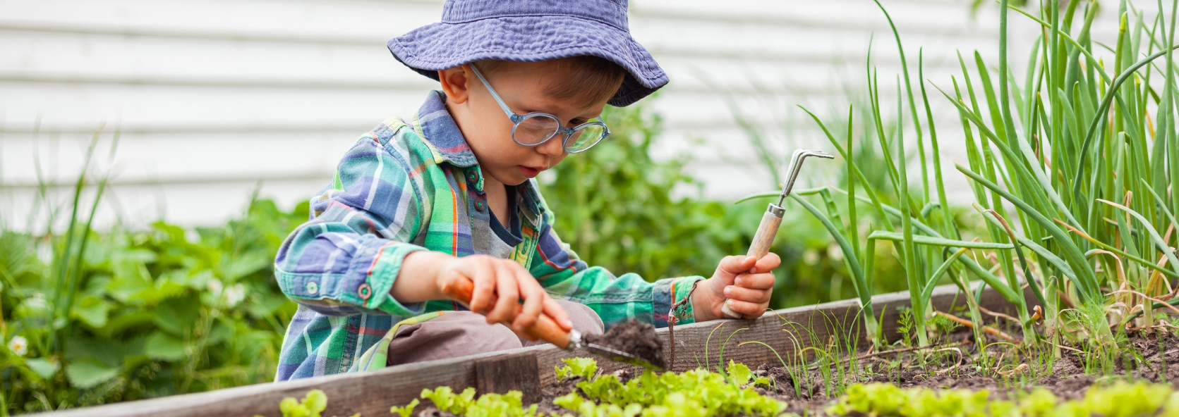 Starting your garden this spring