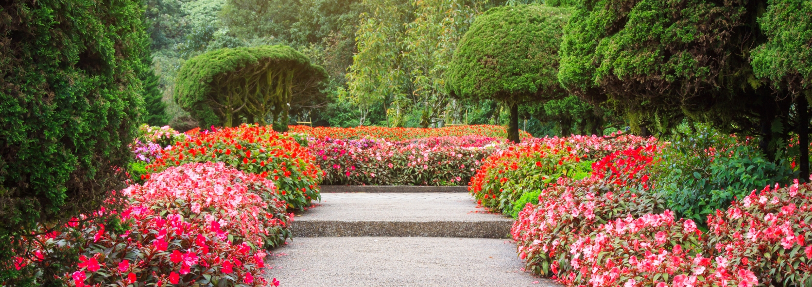 Celebrating National Garden Month