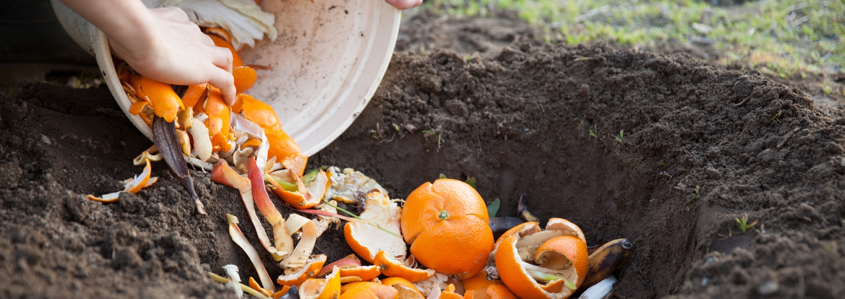 Composting 101