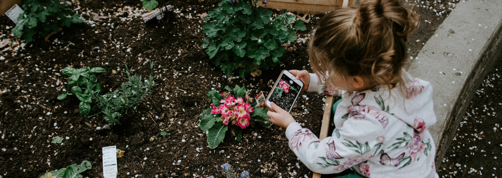 DIY garden projects