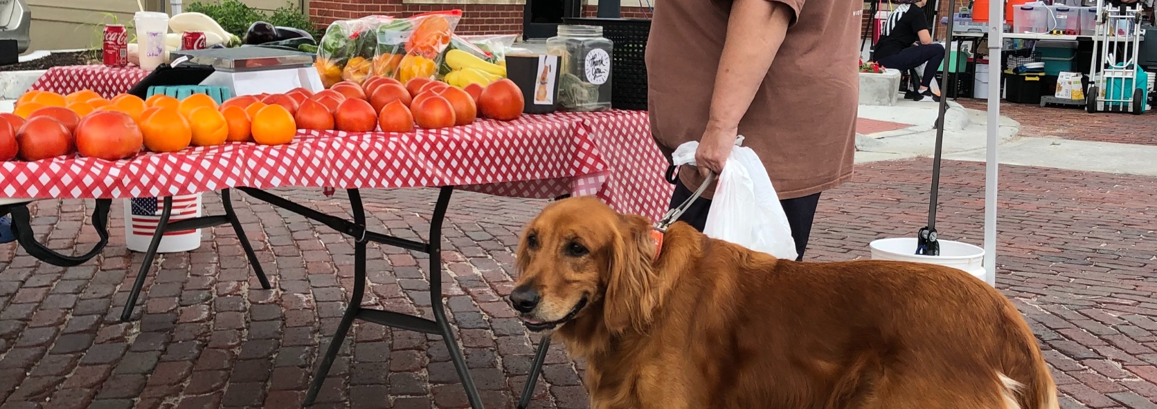 Celebrating National Fresh Fruits & Veggies Month