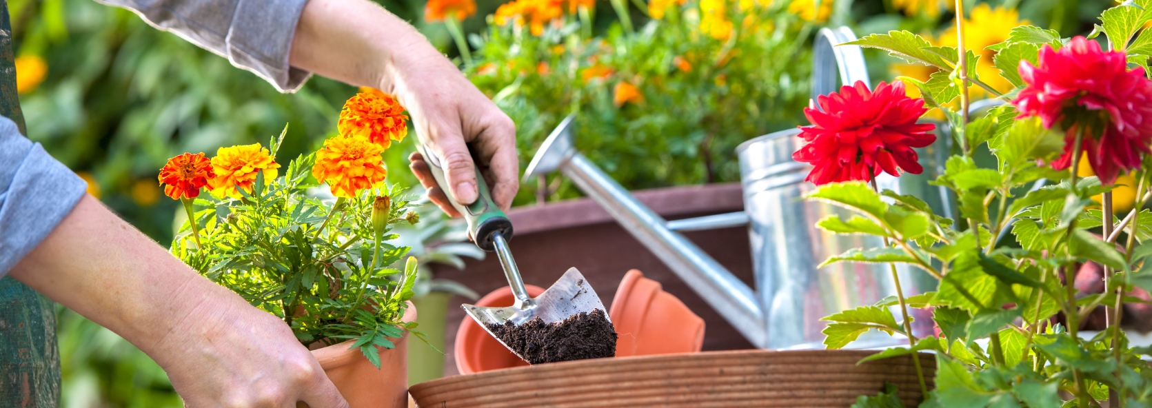 How gardening benefits pyhsical and mental health